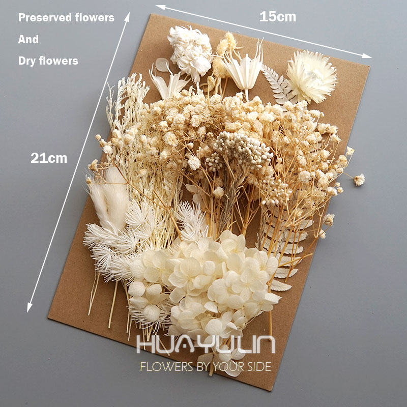 1 opakowanie sztuczne rośliny  – Dried Flower Bulk recenzja i cena